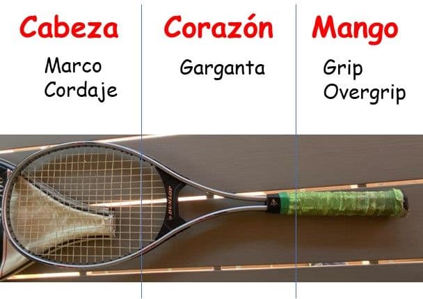 Partes de una raqueta - Dunlop McEnroe Power 700