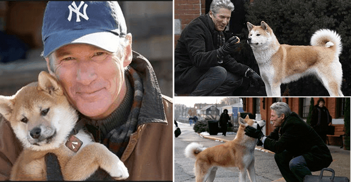 Imágenes de la película Siempre a tu lado (a dog´s tal).