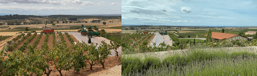 Visita bodegas Valduero en Gumiel de Mercado, Burgos image